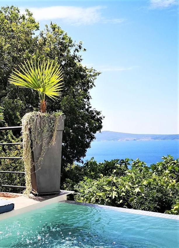 Art Gallery House With A Small Relaxing Pool Crikvenica Ngoại thất bức ảnh